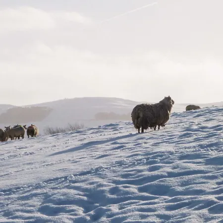 Lock View - Nordic Скиптон