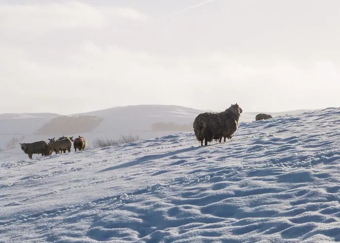 Lock View - Nordic Skipton